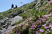 40 Sulla cresta di vetta del Colombarolo 